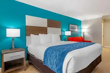 Comfort Inn & Suites Daytona Beach Oceanfront - 62
