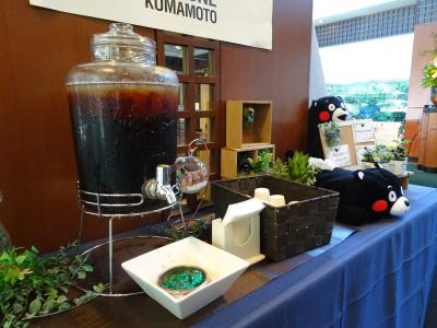 Ark Kumamotojo Mae -Route Inns- - 11
