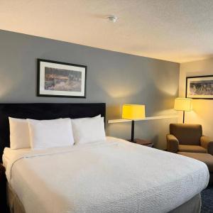 Ramada Plaza Airport and Conference Centre - 36