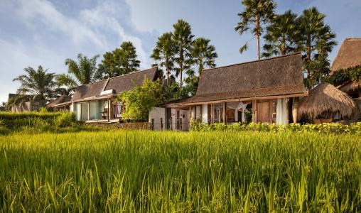 Blue Karma Dijiwa Ubud - 87