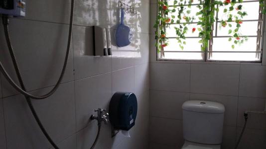 Spacepod@lavender - 8