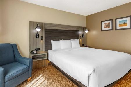 Comfort Inn & Suites North Dallas-Addison - 4