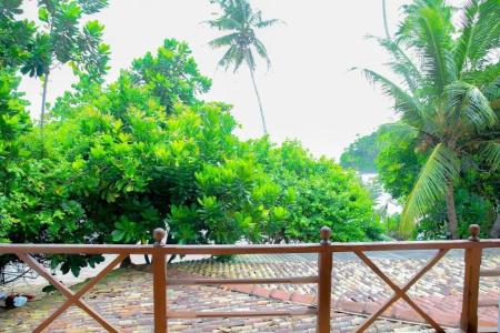 Surf Sea Breeze - 50