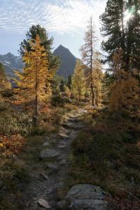 Alpenkönigin - 20