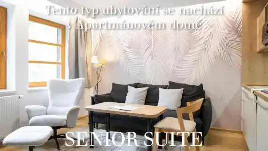 Amenity & Resort Špindlerův Mlýn - 106
