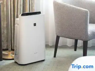 Nikko Kansai Airport - 3 mins walk to the airport - 35