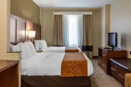 Comfort Suites Walnut Creek - 36