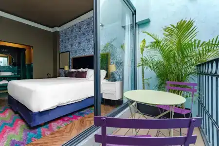 Pug Seal Polanco Anatole France - 58