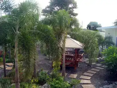 Charlie's Bungalows - 32