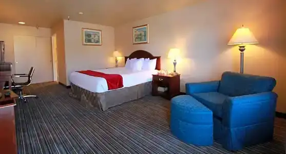 Best Western Surf City - 41