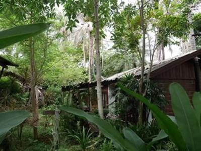Sunset Cove Resort - 27