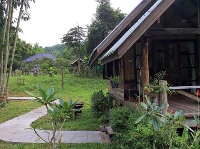 Chiang Dao Hut - 136