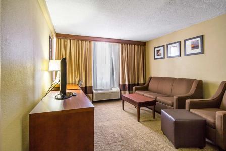 Comfort Inn Downtown - 33
