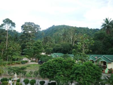 Tara Resort - 9