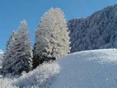 Garni Waltoy - 12