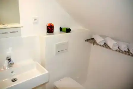 Wellness Vila Bohemia - 43