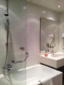 AltstadtGrauer Wolf - 9