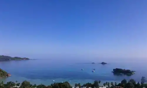 Mango Lodge - 142