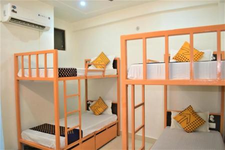 Bedweiser Backpackers - 4