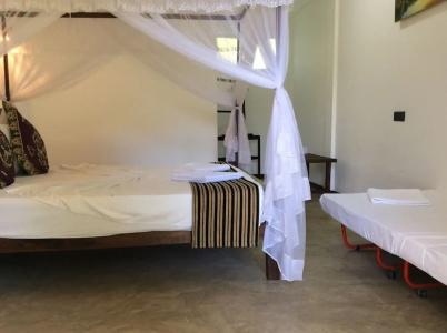 Sigiriya Rock Hide - 42