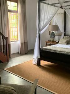 The Postcard Galle - 40