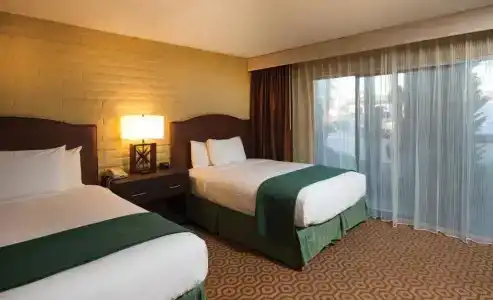 DoubleTree Suites by Hilton Tucson-Williams Center - 93