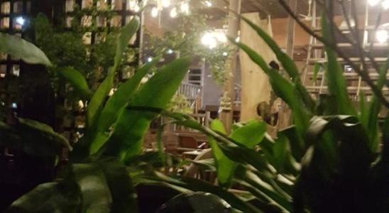 Ruean Mai Chai Khlong - 42