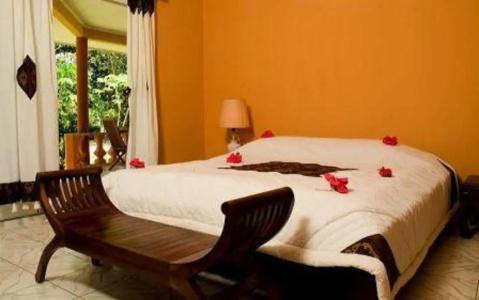 Villas des Alizes beachfront suites and garden villas - 46