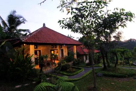 Capung Mas - 34