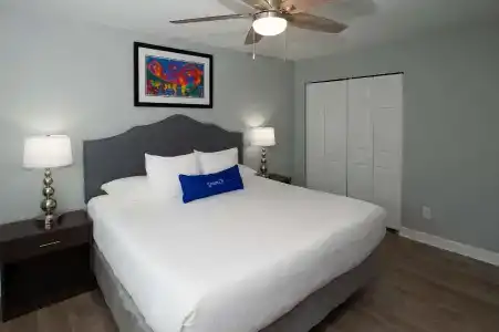 Frenchmen Orleans at 519, Ascend Collection - 51