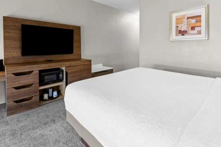 Hampton Inn & Suites I-20 - 63