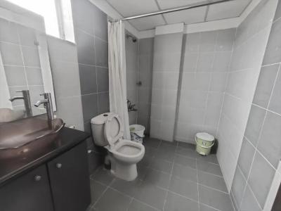 The Bouvice - 36