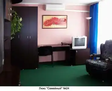 Гвоздика - 33