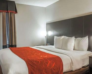 Comfort Suites Airport Nashville - 42