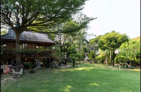 Sunny Stone - 12