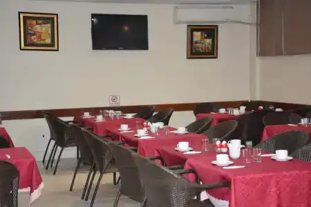 Pacha - 3