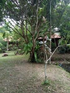 Ban Ban Bangalow - 14