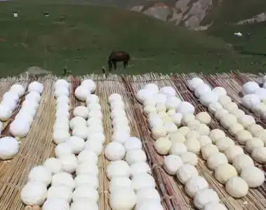 Палаточный лагерь Ачик-Таш - 4