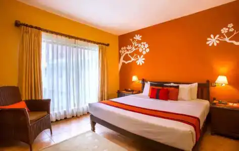 Temple Tree & Spa - 92