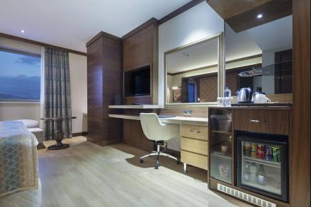 Grand Millenium - 15