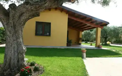 L'Antico Vigneto - 22