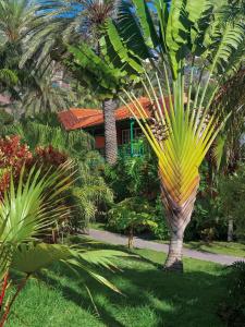 Hacienda San Jorge - 36