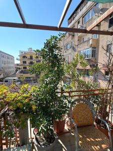 Shkodra Hostel - 37