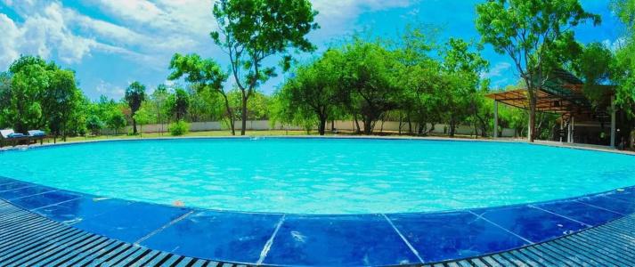 Eighth Wonder Resort - 8