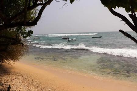 Mirissa Dive Resort - 21