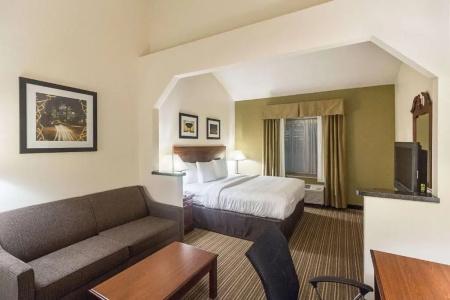 Quality Inn & Suites West Chase - 28