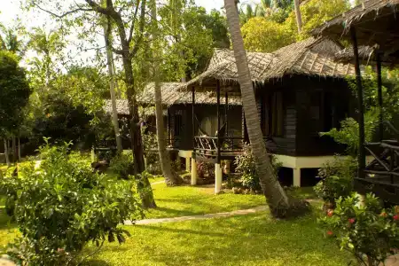 Shiralea Island Resort - 15