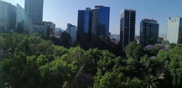 Holiday Inn Express Mexico Reforma - 84