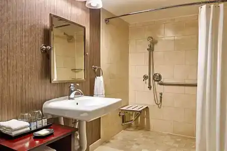 Sheraton North Houston at George Bush Intercontinental - 56