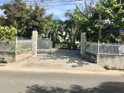 Areca Resort - 19
